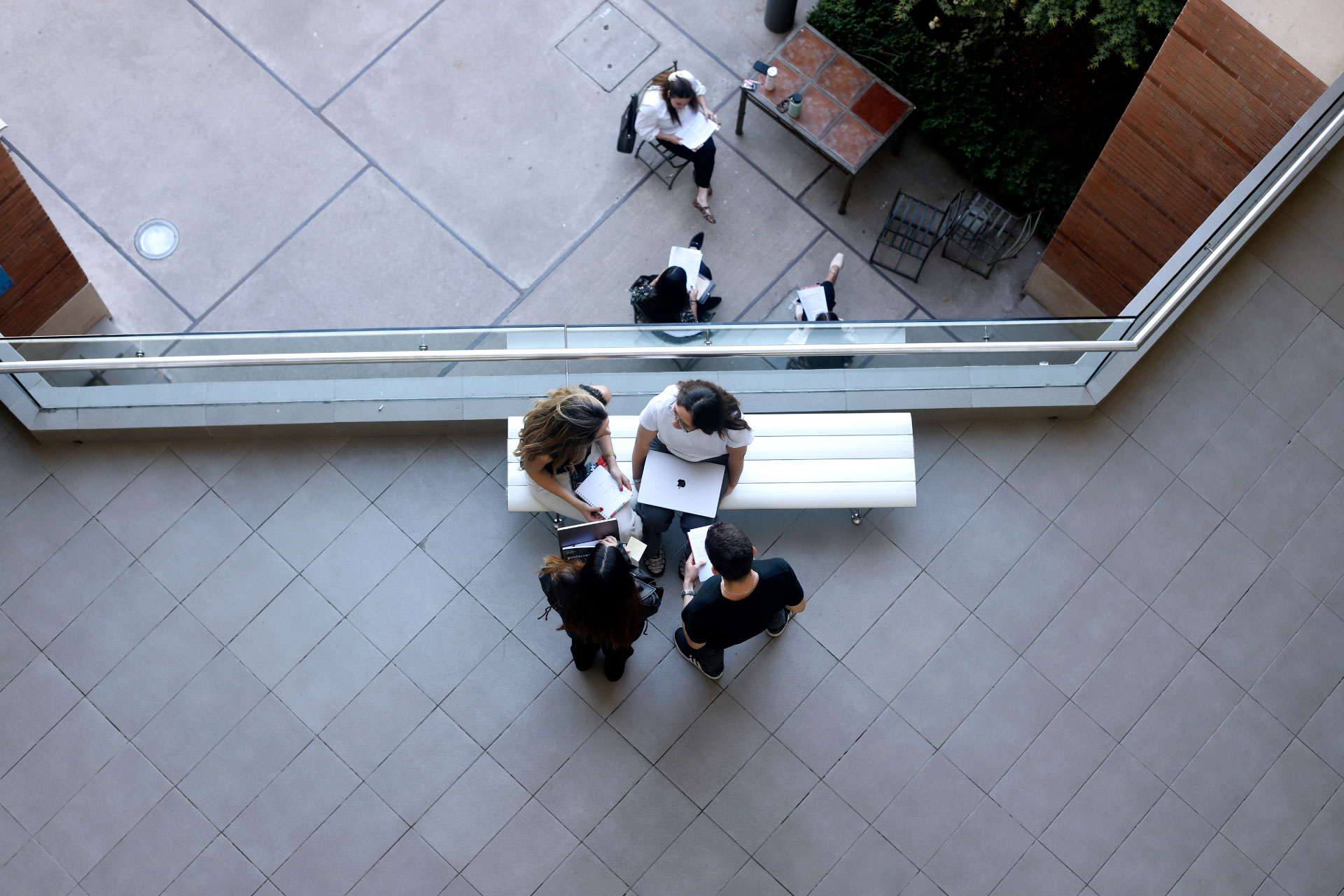 biblioteca